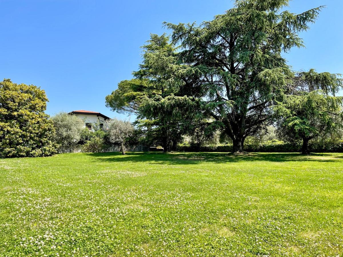 Villa Antonio San Felice del Benaco Esterno foto